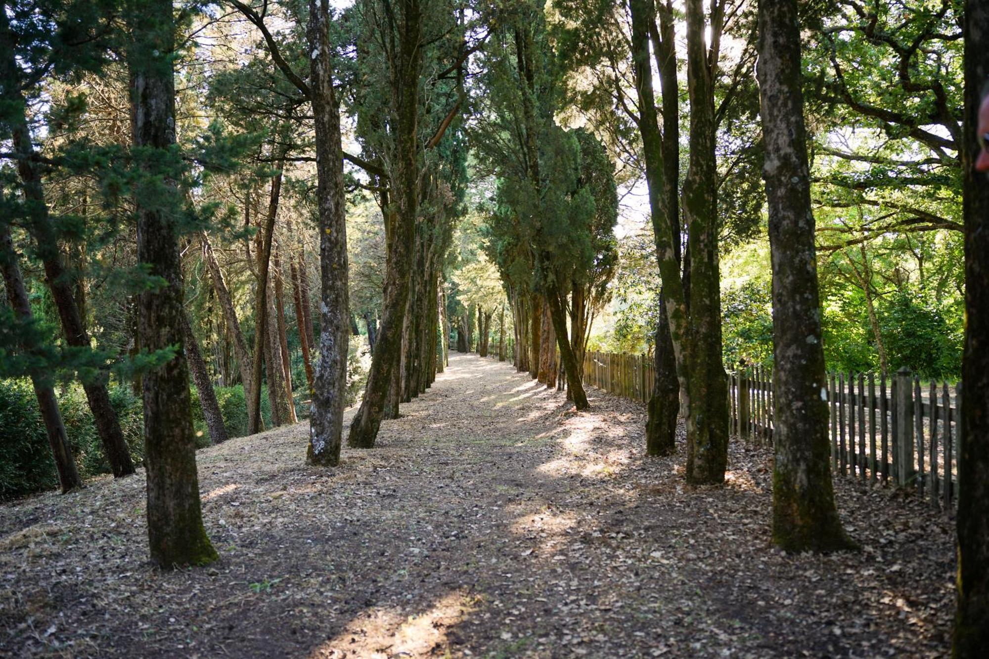 Vila Borgo Di Camporsevoli Exteriér fotografie