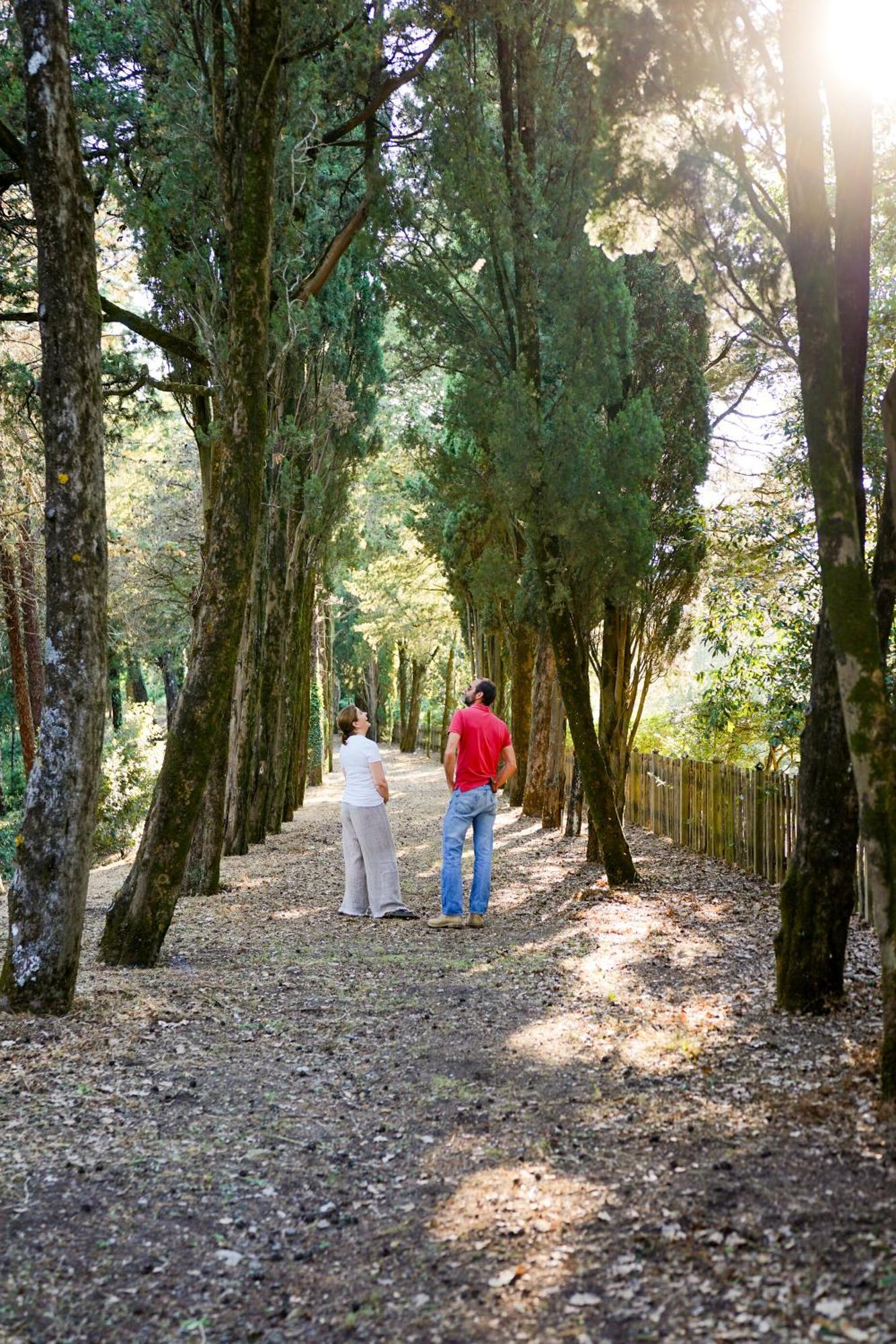 Vila Borgo Di Camporsevoli Exteriér fotografie